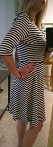 Stitch Fix Pixley Kathy Striped Fit & Flare Dress Side